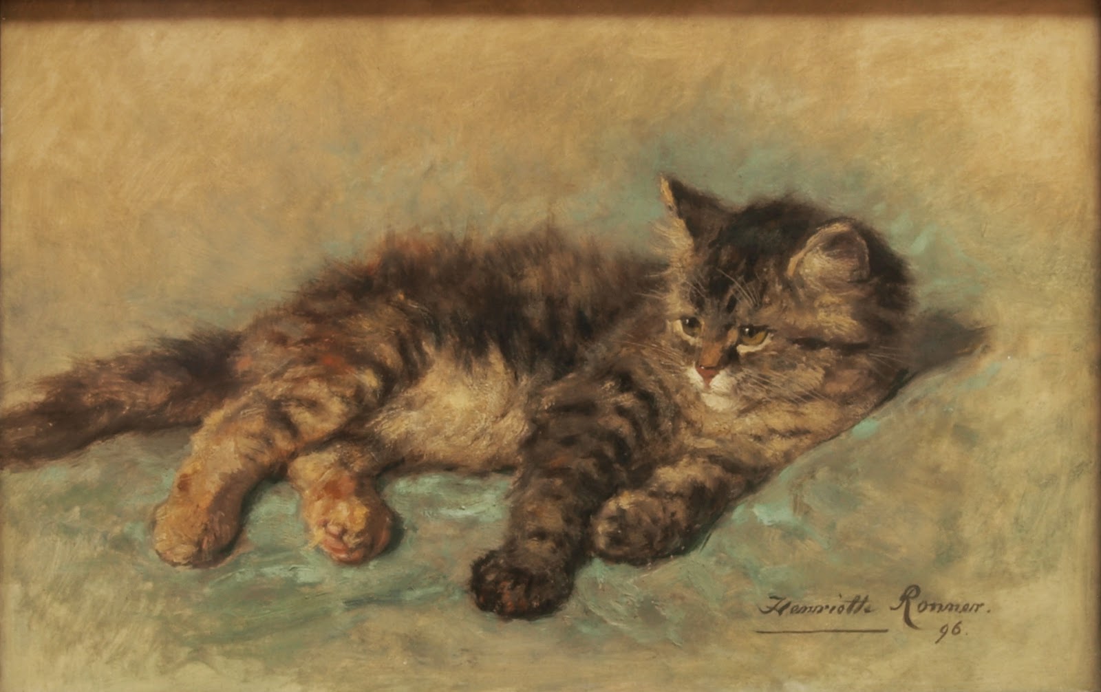 cat resting1896